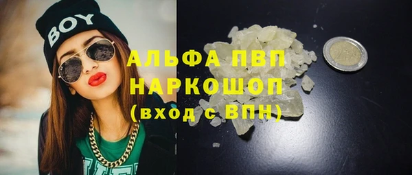 стафф Володарск