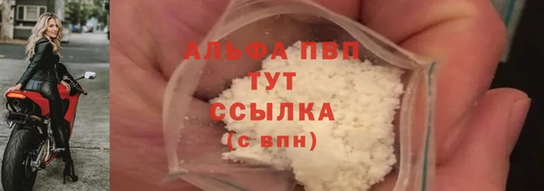 прущие грибы Снежинск
