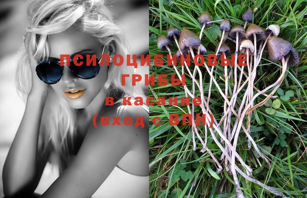 стафф Володарск