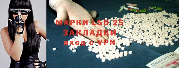 прущие грибы Снежинск