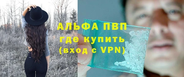 стафф Володарск