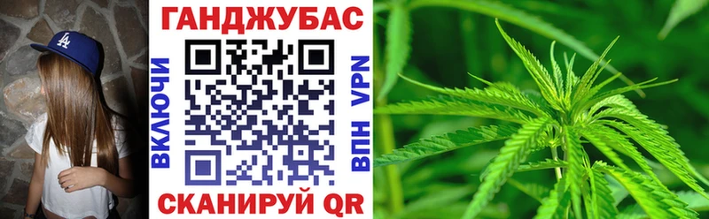 как найти   Отрадное  Конопля тримм 
